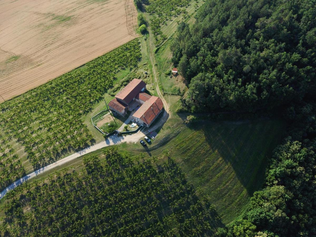 Studio Au Coeur De La Nature Bren Екстер'єр фото